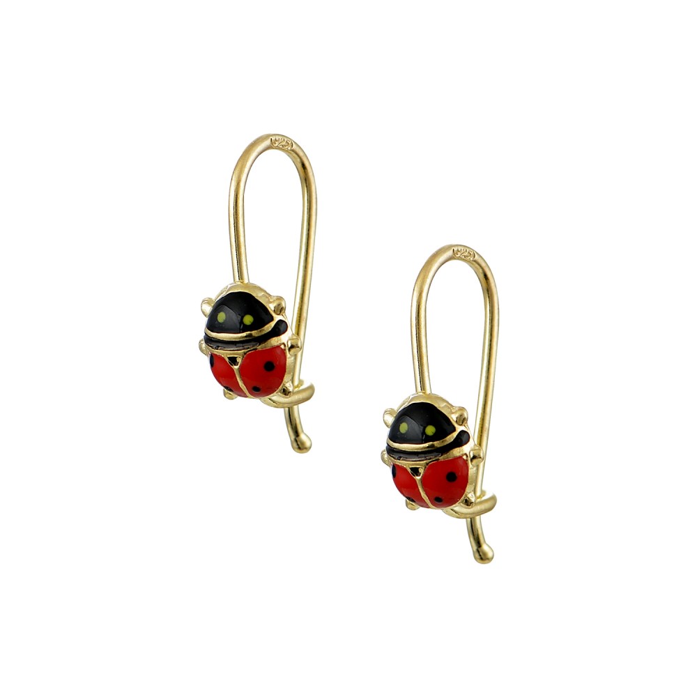 Ασημένια σκουλαρίκια 